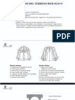 Analisis Del Terreno Biologico