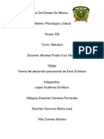 Teoria Del Desarrollo Psicosocial