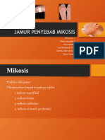 Jamur Penyebab Mikosis