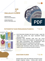 Helmy Anwar - D1A022014 - PPT Fisiologi Tumbuhan - Translokasi Fotosintat