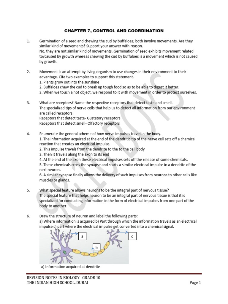 Control and Coordination in Biology | PDF | Neuron | Nervous System