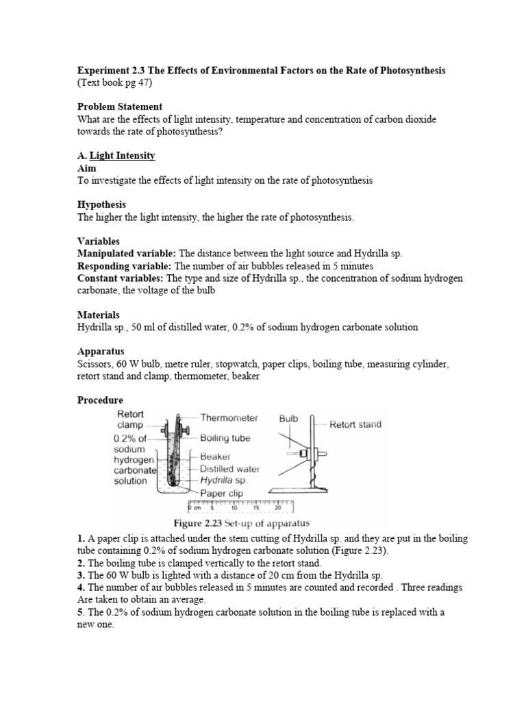 Exp 2.3 Environment Factors On Rate of Photosynthesis | PDF ...