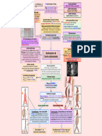 Vasc-Anévrysme de L'aorte Abdominale