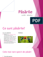 Pasarile