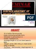 Anatomy Heart Pericardium