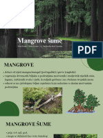 Mangrove Šume 1