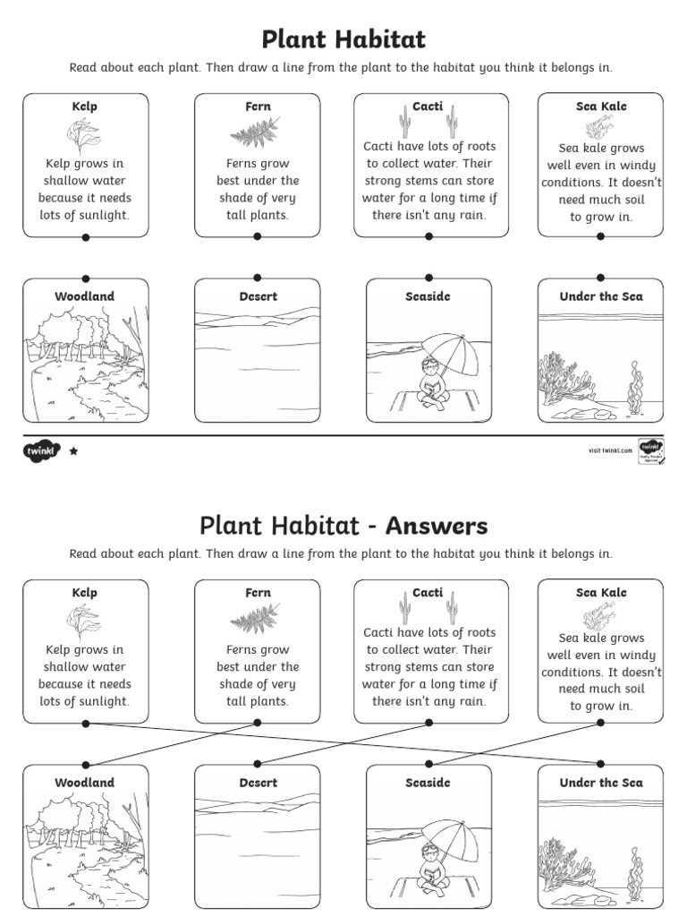 t-sc-435-ks1-all-about-plant-habitats-differentiated-activity-sheets