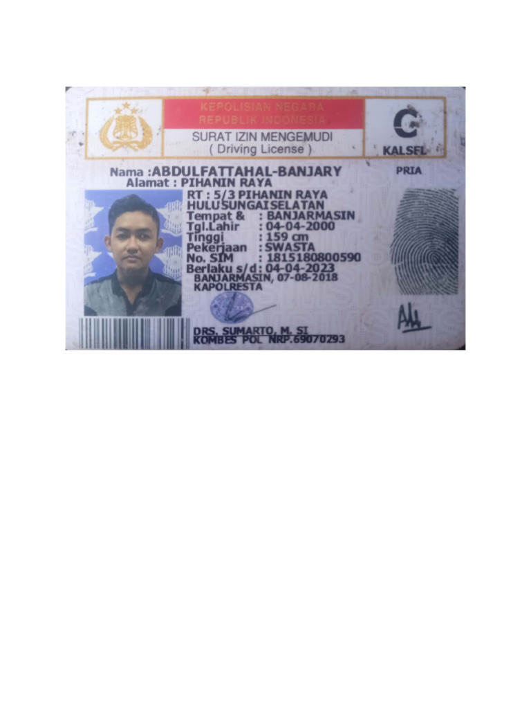 Sim | PDF