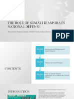 The Role of Somali Diaspora in National Defense