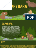 CAPYBARA