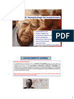 Tema 10. Neuropsicología Del Envejecimiento - 2022