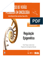 Paulo Thiago Juliana Couto Regulacao Epigenetica