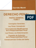 Garrido Montt, Mario - Derecho Penal. Tomo I
