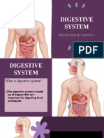 Digestive System