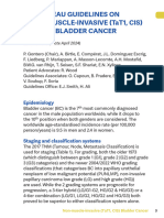 EAU Pocket On Non Muscle Invasive Bladder Cancer 2024