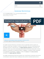 Sistema Reprodutor Feminino - Anatomia, Orgãos e Funções - Kenhub