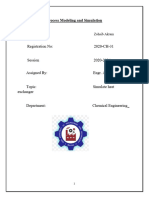 Process Modeling and Simulation Usman