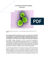 Artículo de Opinión Cuando La Naturaleza Nos Obliga A Escucharla