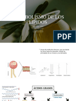 Metabolismo de Lipidos 2