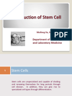 OLLI Stem Cell