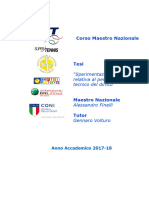 Tesi Sperimentazione Didattica