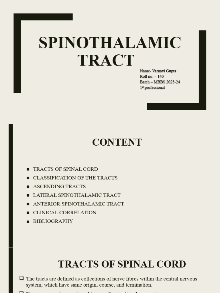 Spinothalamic Tract Overview and Functions | PDF | Neuroanatomy ...