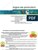 Curs 2 - Bazele Biologice Ale Pomiculturii