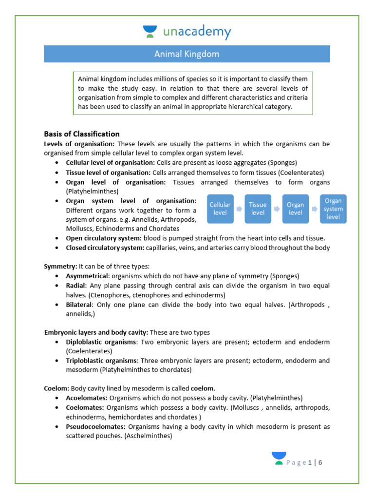 Animal Kingdom Classification Overview | PDF | Sponge | Zoology