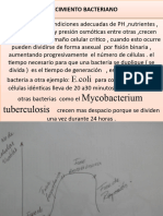 Crecimiento Bacteriano