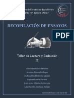 Recopilación de Ensayos TLR II