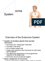 Week 5&6 Endocrine System