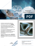 Seminario Neurofisiologia I