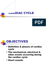 Cardiac Cycle 4
