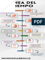 Línea Del Tiempo de Neuropsicología