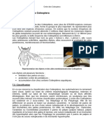Module 7: Ordre Des Coleoptera: 7.1. Généralités