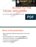 Approaches To The Facial Skeleton