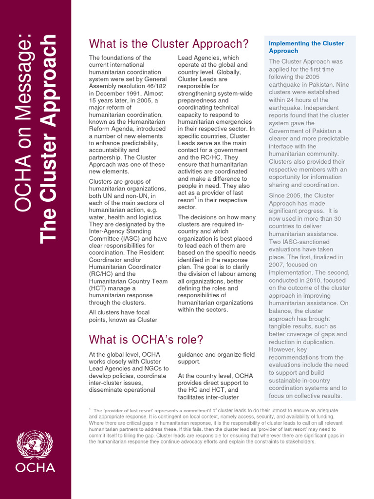 Understanding the Cluster Approach in Humanitarian Aid | PDF ...