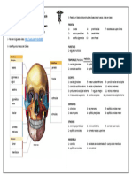 Guía 4 Craneo