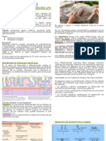 Neoplasia Resumen V