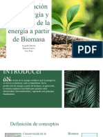 Conservación y Biomasa - Energias