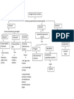 Mapa Conceptual