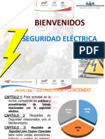 Cap.Seguridad Electrica.