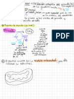 Tema 8 - Metabolismo 4