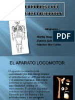 Aparato_locomotor[1]
