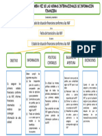 Mapa Conceptual Niif 1