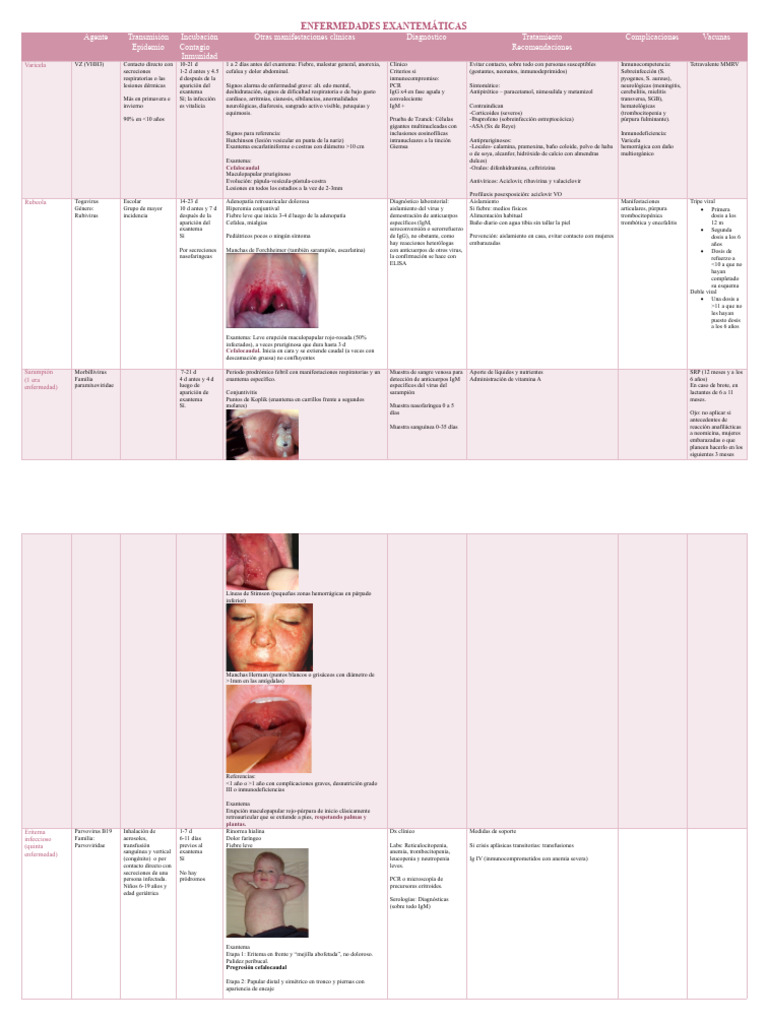 Enfermedades Exantemáticas Pdf Sarampión Microbiología