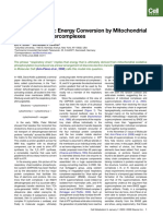 02 2008 - Respiratory Supercomplexes OK OK