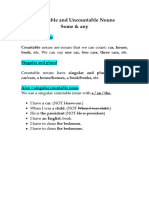 COUNTABLE UNCOUNTABLE NOUNS WITH QUANTIFIERS