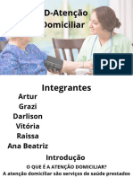 Atenção Domiciliar - 20240309 - 092748 - 0000