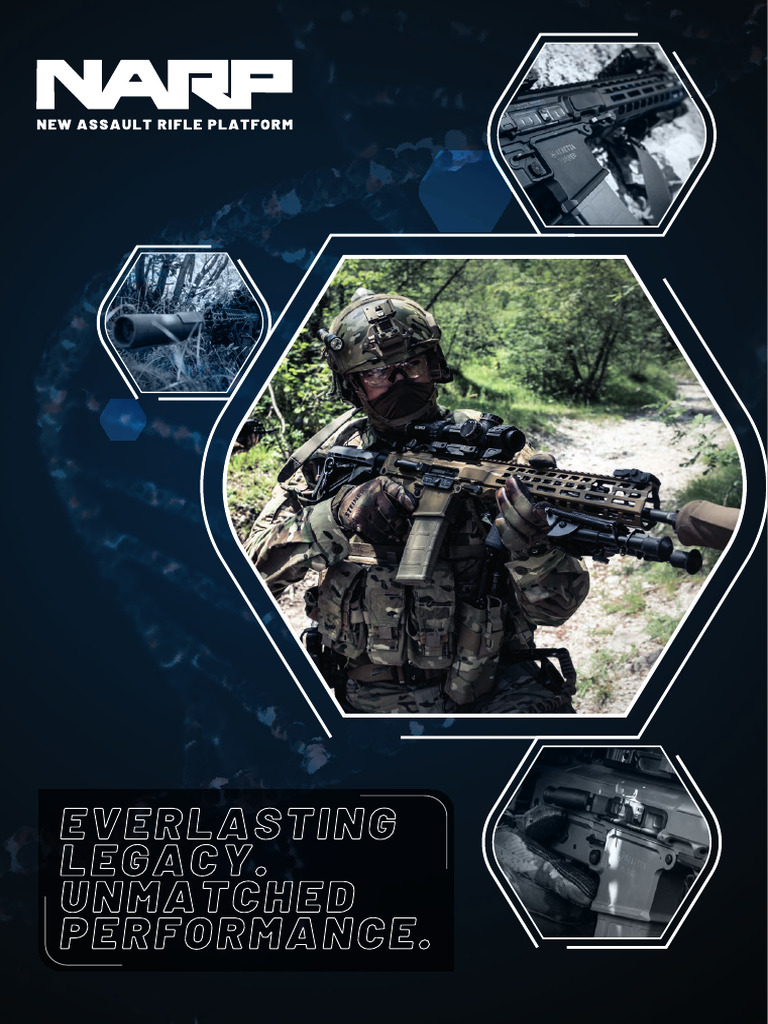 NARP Technical Sheet | PDF